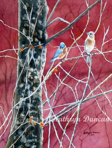 Bluebirds in Early Spring