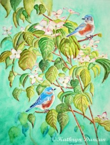 Bluebirds in Flowering Dogwood Tree