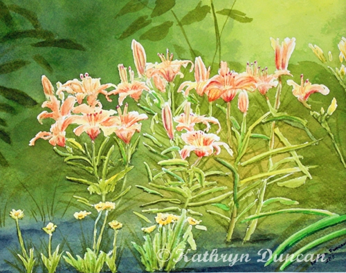 Orange Lillies In the Morning