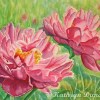 kathryn-duncan-springtime-red-blooms-peonies-W_wm
