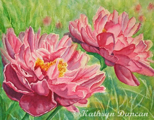 Springtime Red Blooms - Peonies