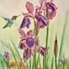 kathryn-duncan-wild-iris-nectar-w_wm