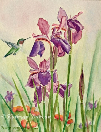Wild Iris Nectar - Hummingbird