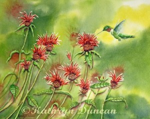 Hummingbird In Beebalm