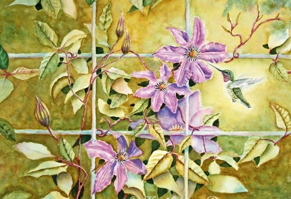Hummingbird and Clematis