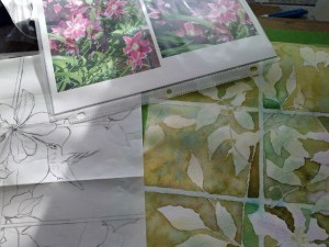 kathryn-duncan-clematis2-E