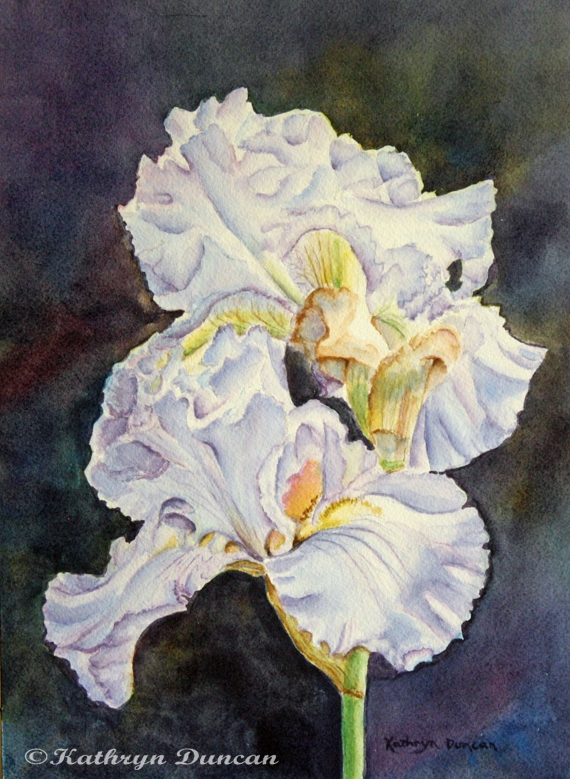 Blue Velvet - Irises