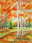 Autumn Birch Path