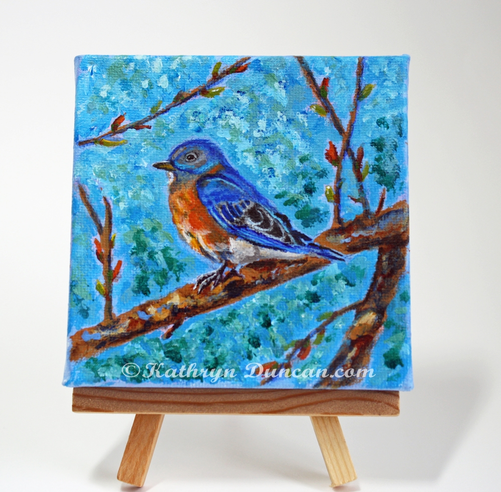 Eastern Bluebird