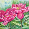 kathryn-duncan-red-peonies-ig-E_wm