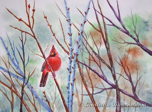 Spring Cardinal