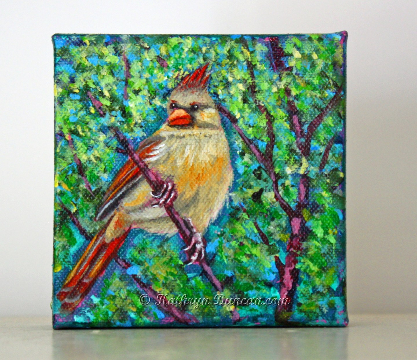 Yellow Cardinal Spring