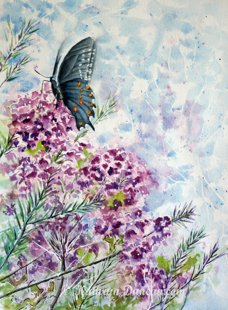 Black Swallowtail Butterfly